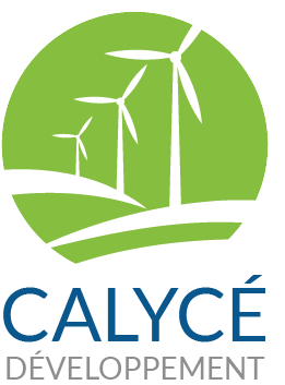 Logo Calycé – Portrait Logo Calycé - Portrait | Calycé Développement